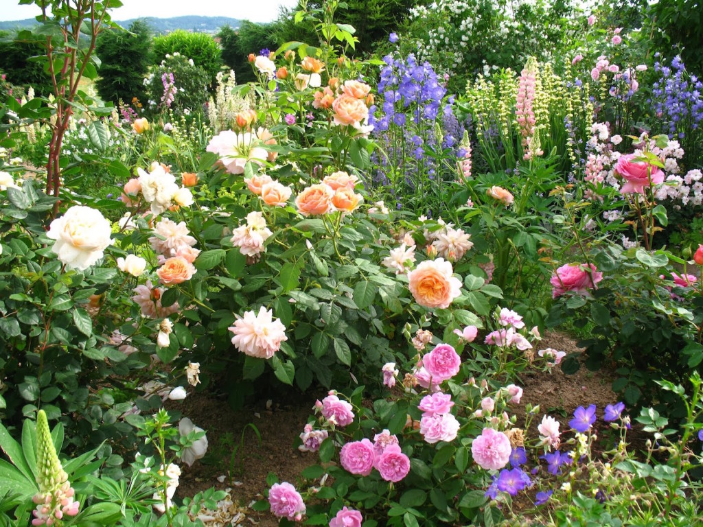 Comment créer son propre jardin spontané ?2