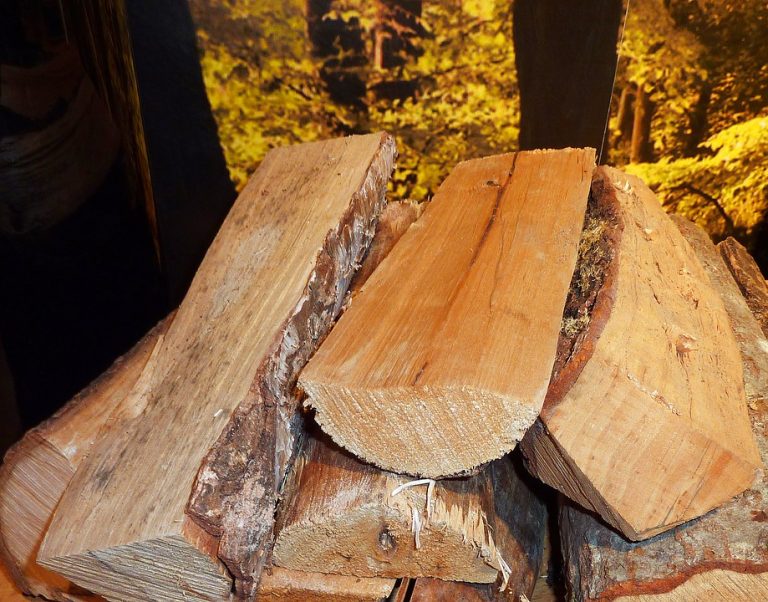 Le bois : un atout majeur pour la construction