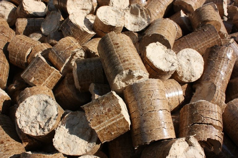 Poêle à granulés ou poêle à bois : avantages et rendements