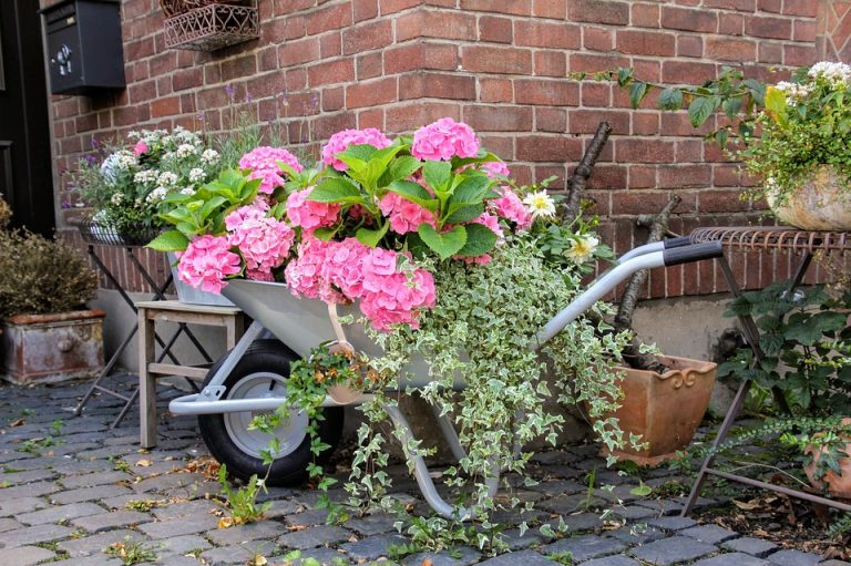 Comment aménager au mieux son jardin ?