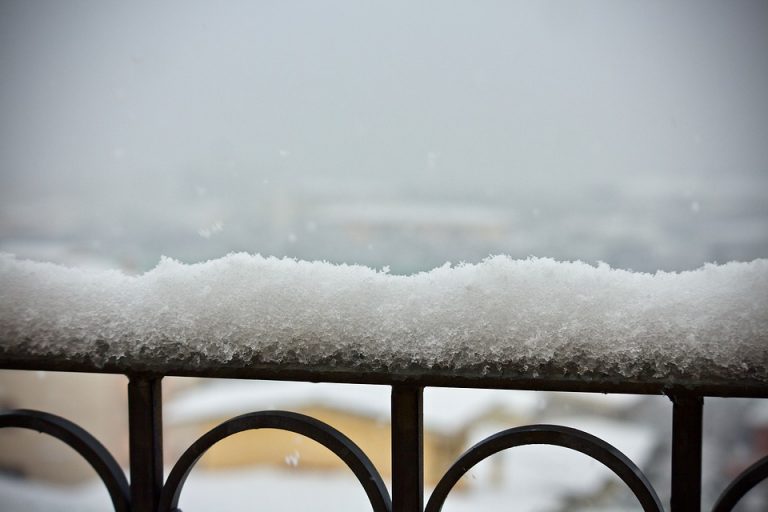 Quelles plantes choisir pour fleurir son balcon en hiver ?