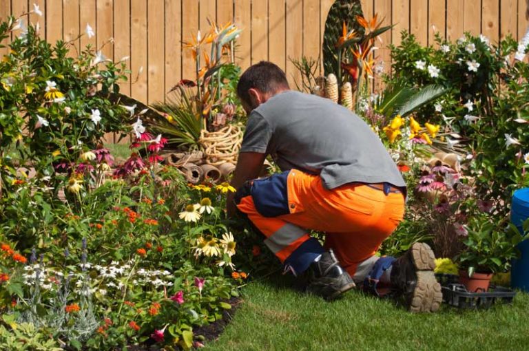 En quoi est-il intéressant de devenir auto entrepreneur jardinier ?