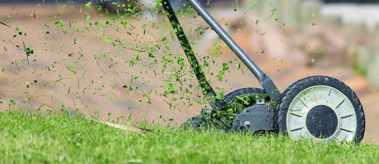 Entretien de jardin : utilité de la tondeuse à gazon !