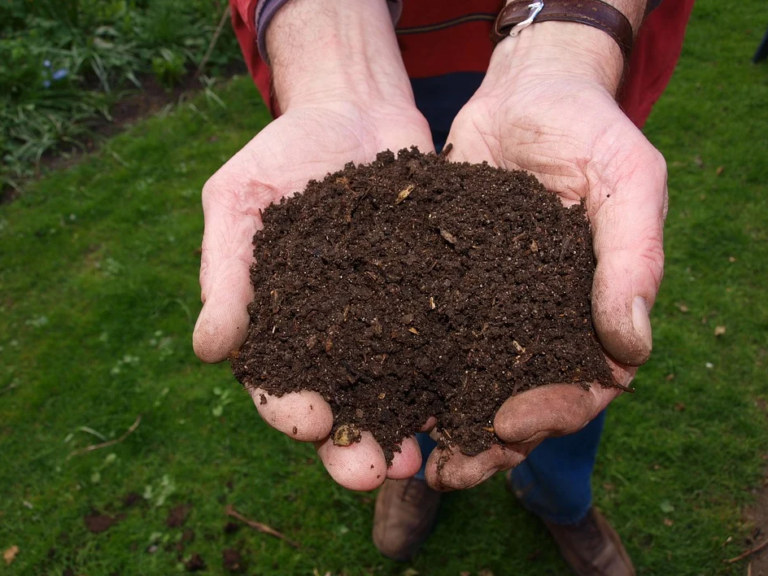 Lombricomposteur : quelle est la différence avec un compost classique