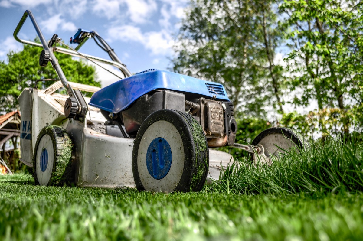 Tour d’horizon des meilleurs outils pour l’entretien d’un grand jardin