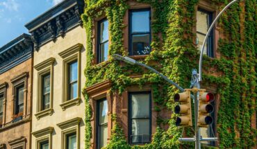 Assurance habitation
