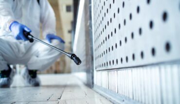 qui appeler pour se débarrasser des nuisibles a paris