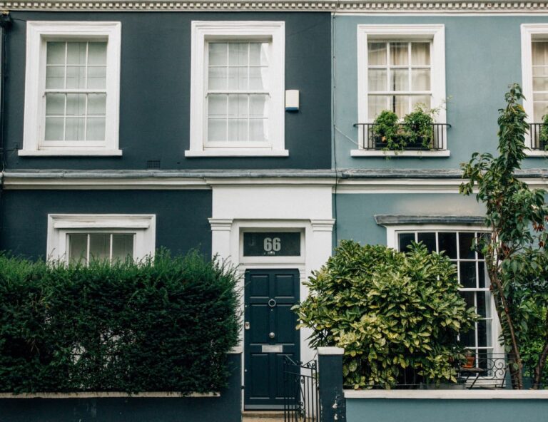 Que faire contre les nuisibles dans la maison ? Astuces et stratégies efficaces